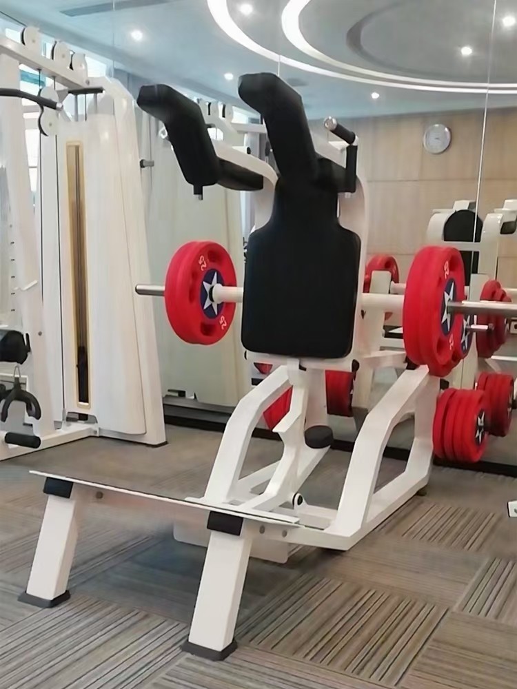 Verticale Hack Squat Machine X - Home Gym Quad recensie en prijs