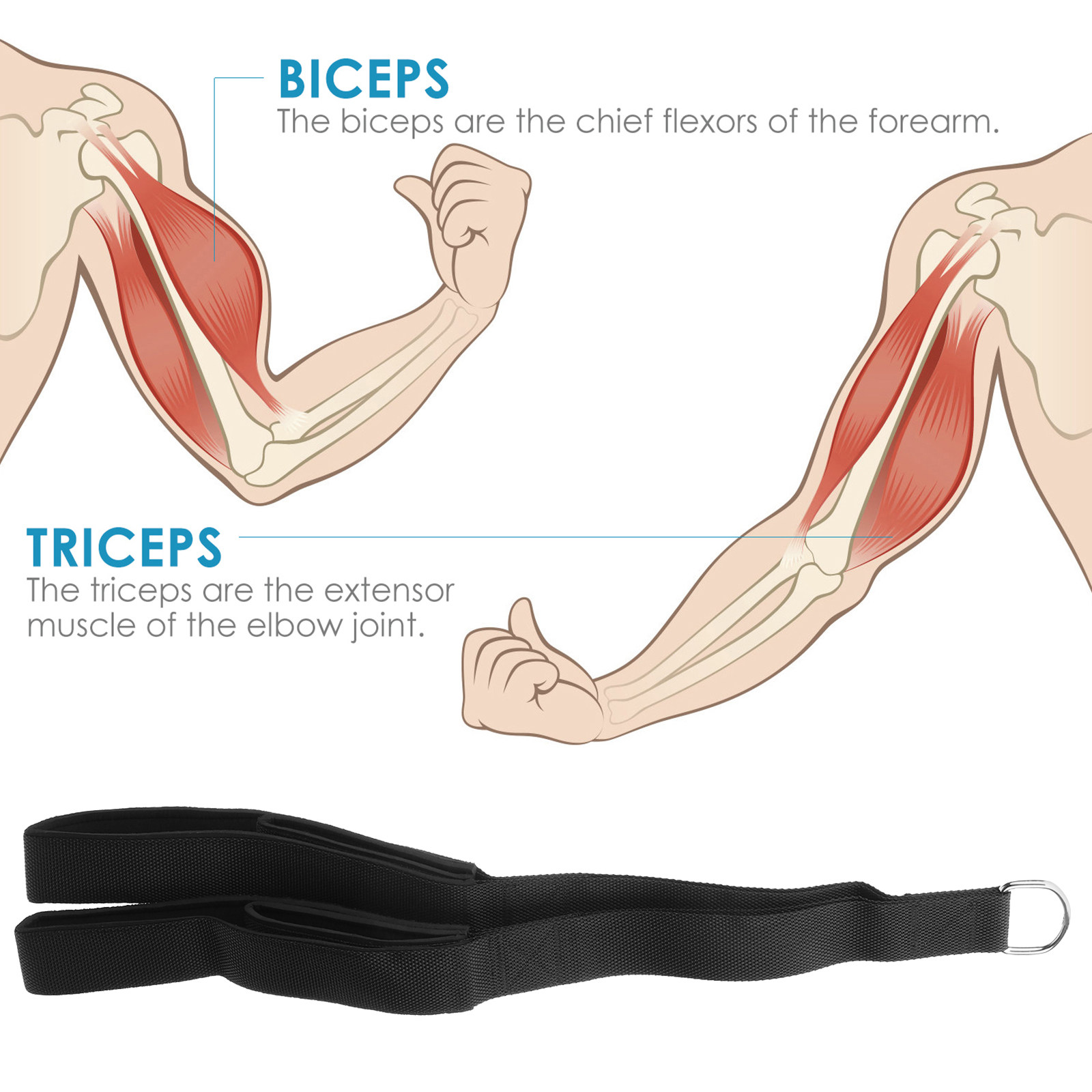 Dual Grip Tricep Pull Rope Hea - Home Gym Hammer Strength recensie en prijs