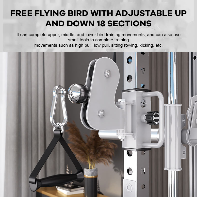 YTYIN Fabrieksleverancier Home - Home Gym With Smith Machine recensie en prijs