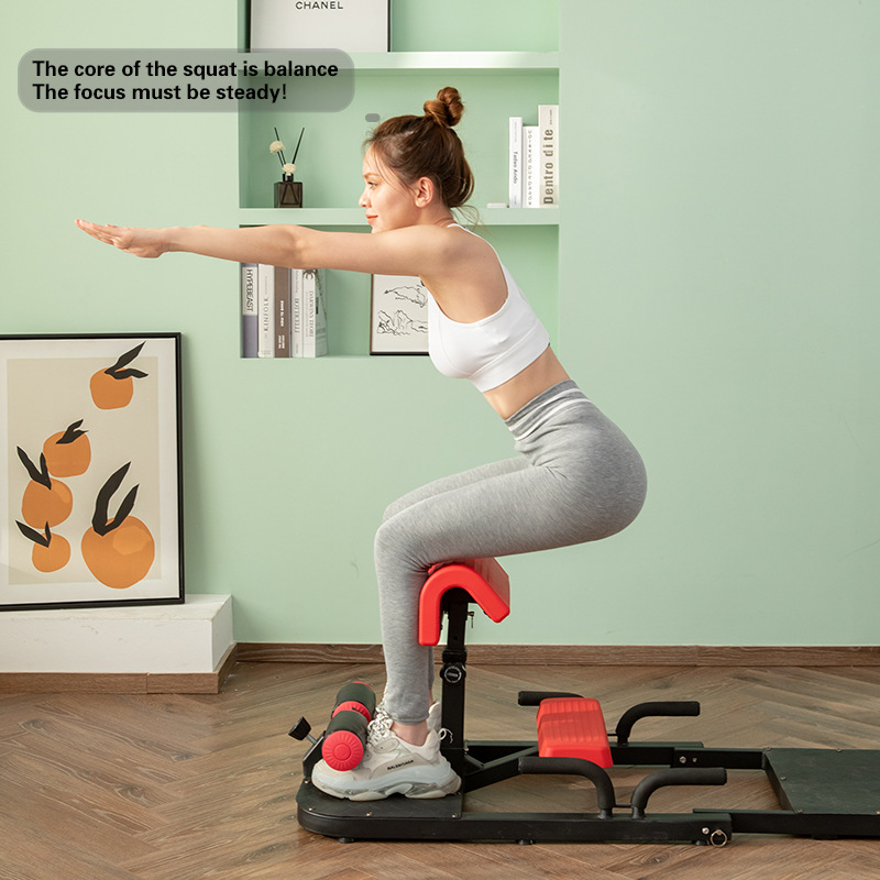Sissy Squat Machine 3-in-1 Hom - Home Gym Quad recensie en prijs
